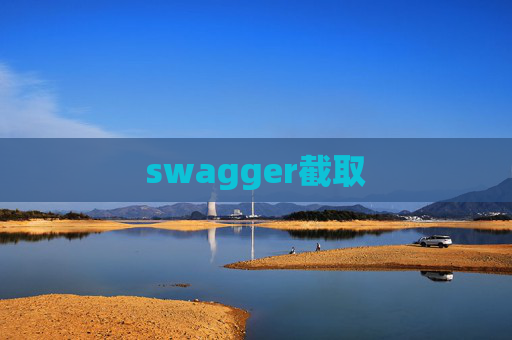 swagger截取
